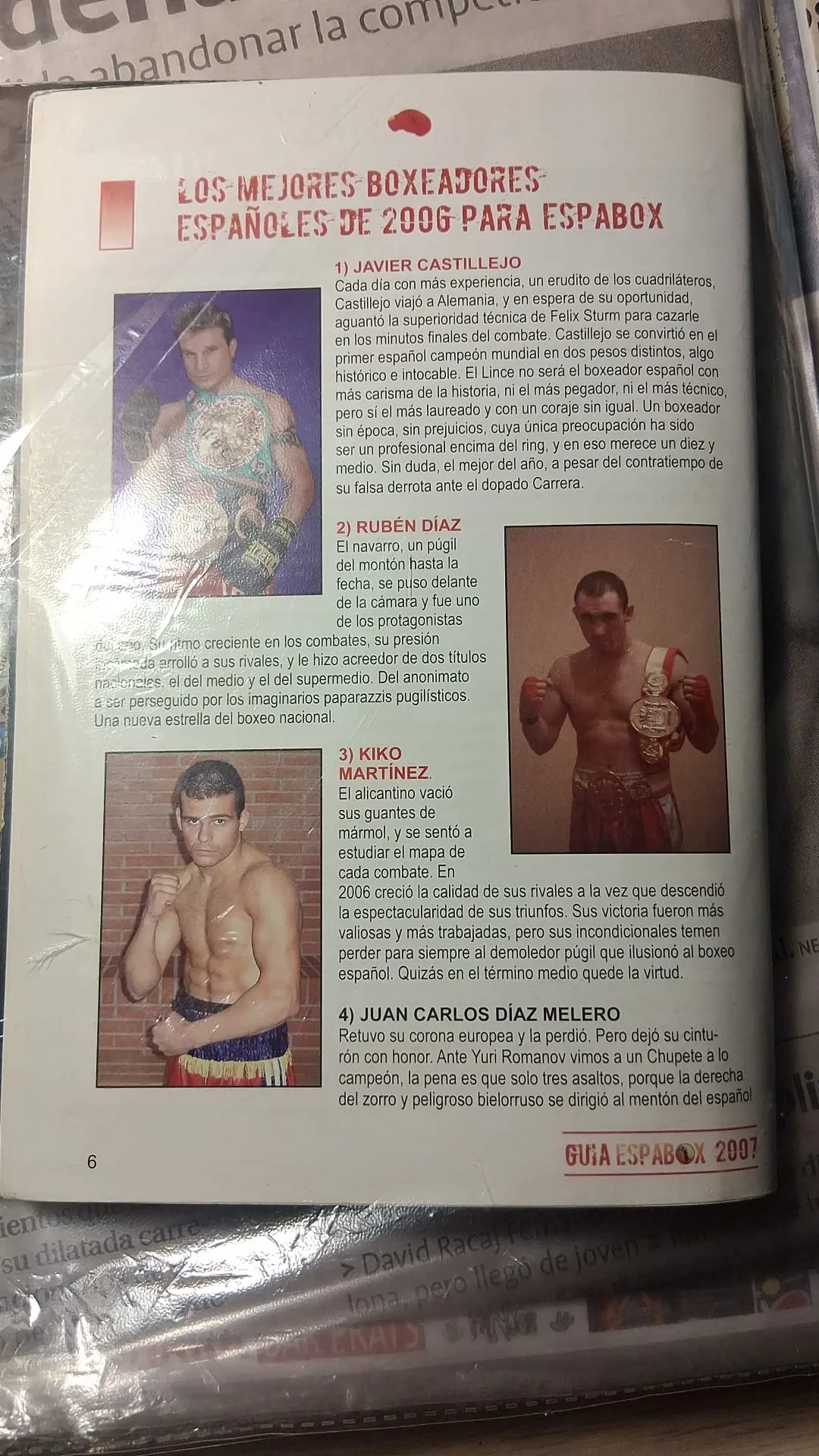 Mejores boxeadores 2006