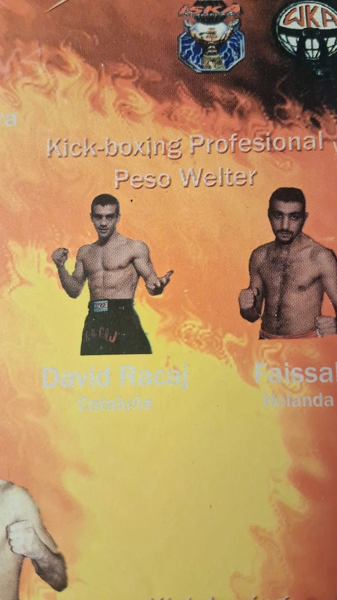 Kickboxing profesional